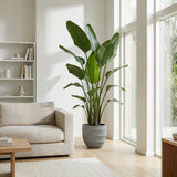 Product afbeelding 2