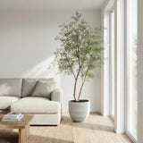 Product afbeelding 6