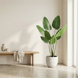 Product afbeelding 6