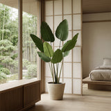 Product afbeelding 4
