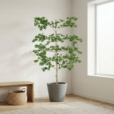 Product afbeelding 6