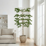 Product afbeelding 7
