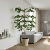 Product afbeelding 4