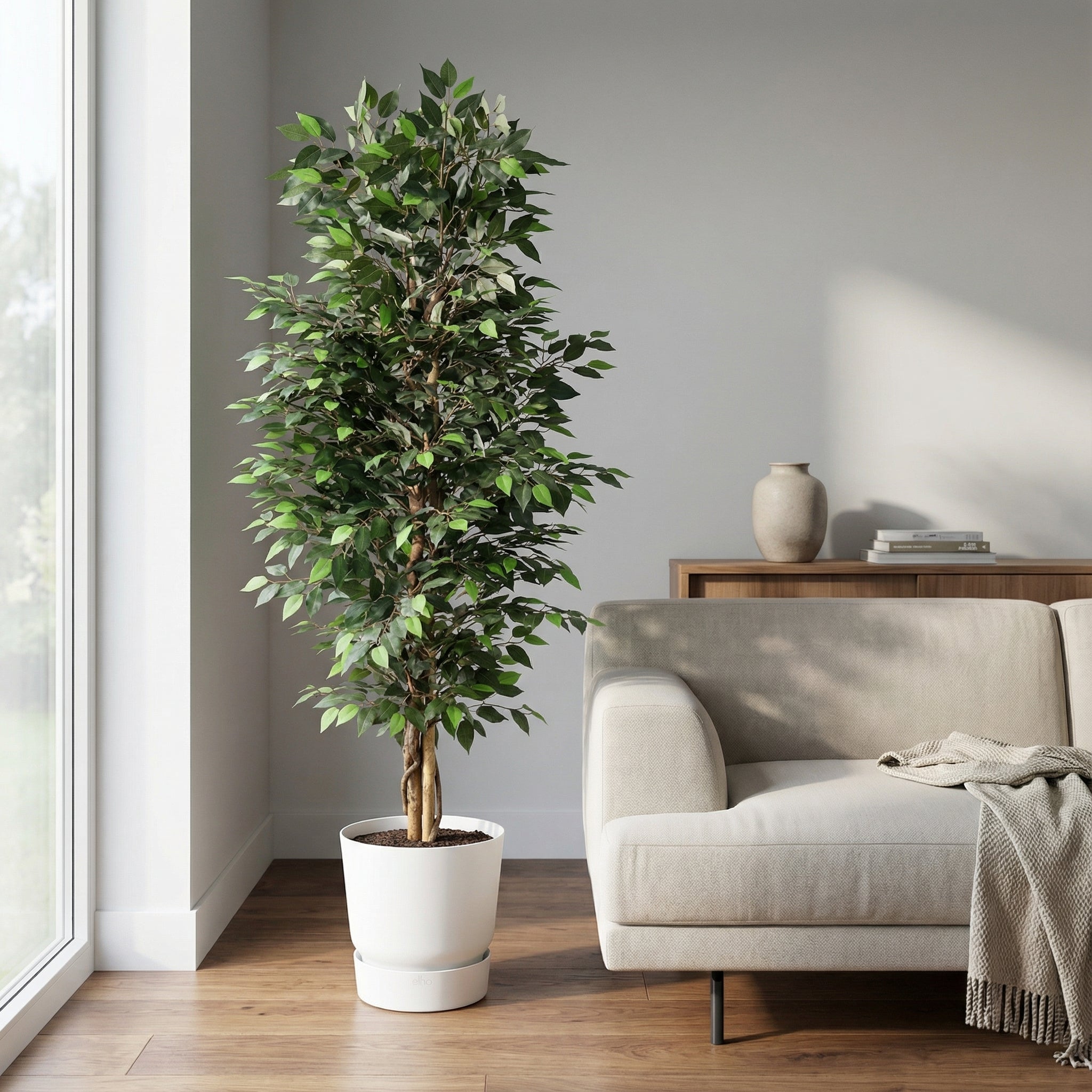 Kunstpflanze Ficus Benjamina 180 cm