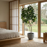 Product afbeelding 6