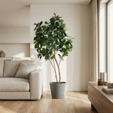 Product afbeelding 5