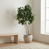 Product afbeelding 3