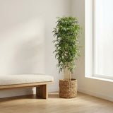 Product afbeelding 7