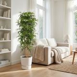Product afbeelding 3