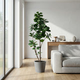 Product afbeelding 6