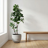 Product afbeelding 4