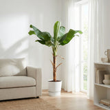 Product afbeelding 4