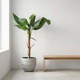 Product afbeelding 3