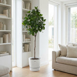 Product afbeelding 7