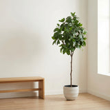 Product afbeelding 6