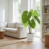 Product afbeelding 3