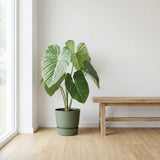 Product afbeelding 4