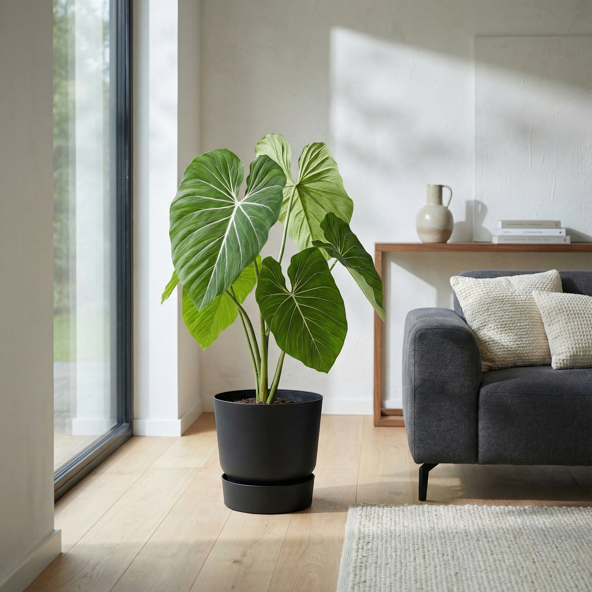 artificial philodendron varieties Artificial Philodendron - 100 cm
