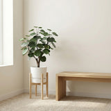 Product afbeelding 5