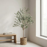 Product afbeelding 5
