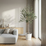 Product afbeelding 3