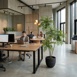 Product afbeelding 8