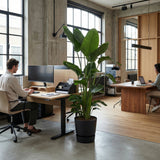 Product afbeelding 6