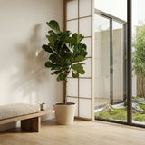 Product afbeelding 4