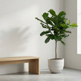 Product afbeelding 6