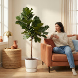 Product afbeelding 7