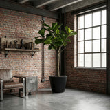 Product afbeelding 6