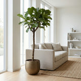 Product afbeelding 4