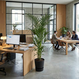Product afbeelding 6