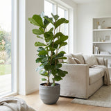 Product afbeelding 3
