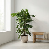 Product afbeelding 4