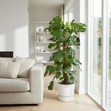 Product afbeelding 3