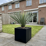 Product afbeelding 4