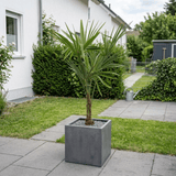 Product afbeelding 5