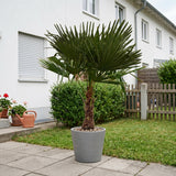 Product afbeelding 3