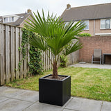 Product afbeelding 2