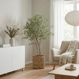 Product afbeelding 5