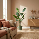 Product afbeelding 6