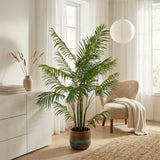 Product afbeelding 6