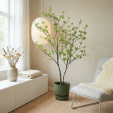 Product afbeelding 6