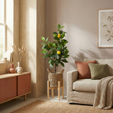 Product afbeelding 5
