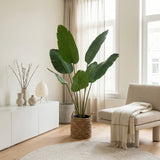 Product afbeelding 6