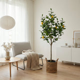 Product afbeelding 6