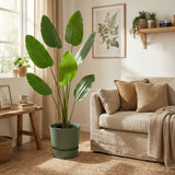 Product afbeelding 5