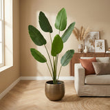 Product afbeelding 6