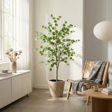Product afbeelding 5